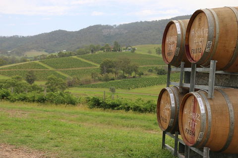 Hunter Valley Wine Tour From Sydney Incl Lunch, Cheese, Chocolate And Distillery - Tourism Caloundra 5