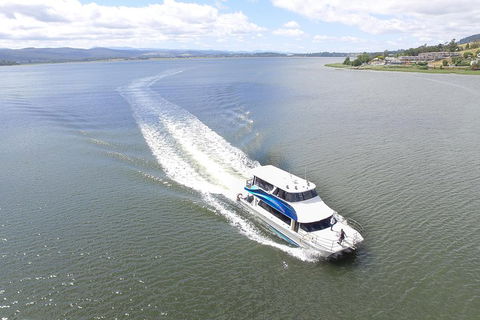 2.5 Hour Morning Discovery Cruise Including Sailing Into The Cataract Gorge - Tourism Caloundra 2