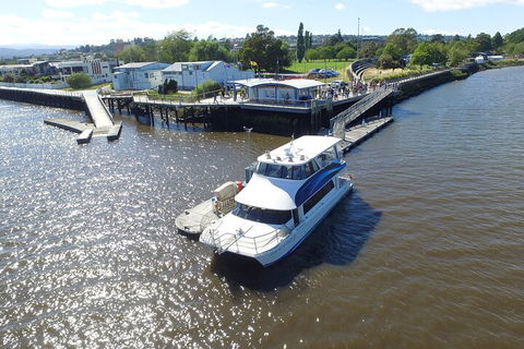 2.5 Hour Morning Discovery Cruise Including Sailing Into The Cataract Gorge - Tourism Caloundra 3