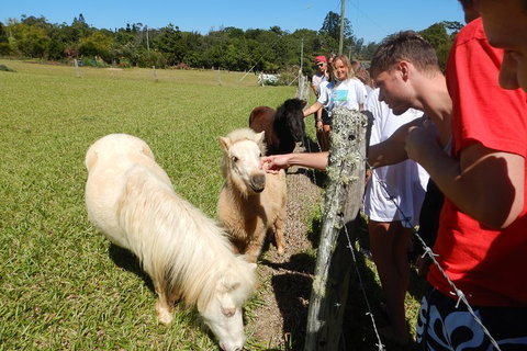 Atherton Tablelands Waterfalls Tour From Cairns - Tourism Caloundra 4