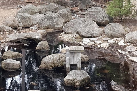 Bendigo, Echuca & The Mighty Murray - Tourism Caloundra 1